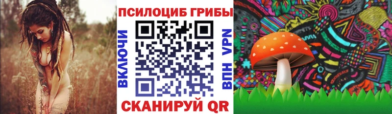 Псилоцибиновые грибы Cubensis  omg как войти  нарко площадка какой сайт  Чёрмоз 